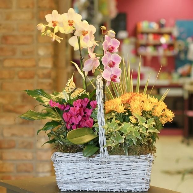 Mixed blooming plants including orchids and chrysanthemums displayed in a decorative basket indoors.
