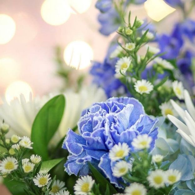 Blue ruffled carnation surrounded by white daisies and green leaves, with warm blurred lights in the background.