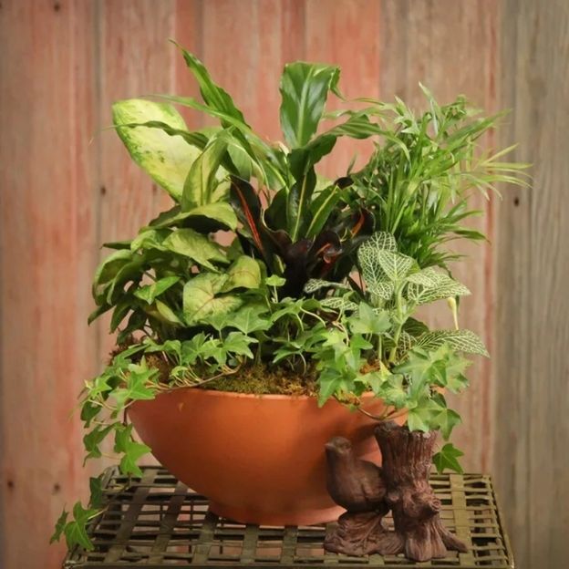 Dish garden of assorted green plants with trailing ivy in an orange bowl; small wood bird figurine at the base.