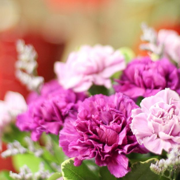 Fresh bouquet of ruffled carnations in shades of purple and pink, surrounded by soft greenery and small filler flowers.